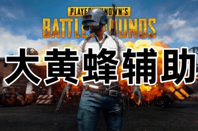 PUBG 大黄蜂 辅助